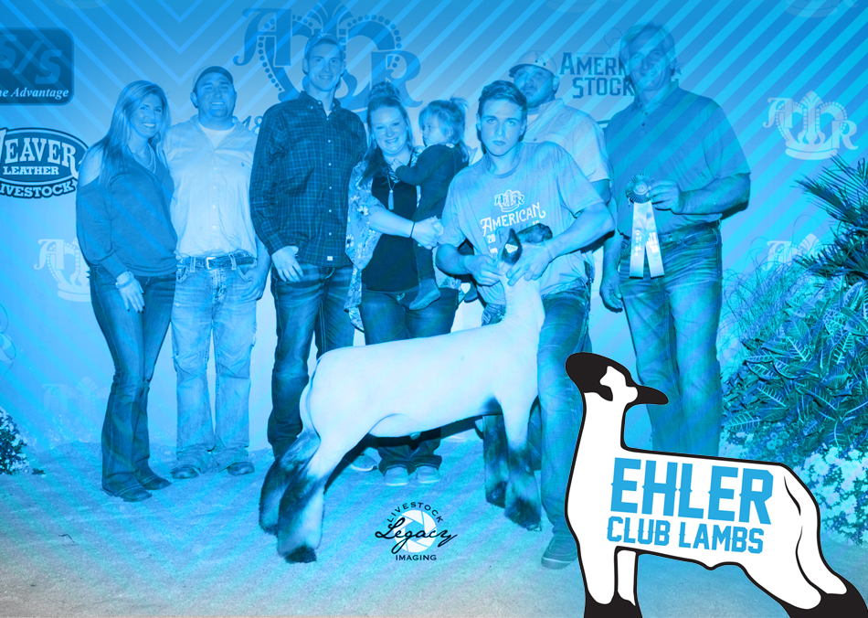 Ehler Club Lambs