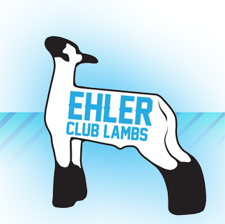 Ehler Club Lambs
